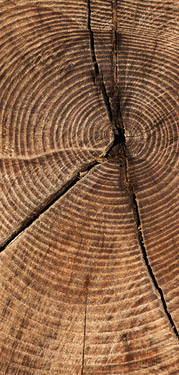 holzpic